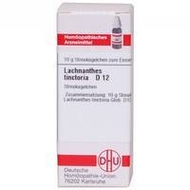 Dhu-lachnanthes-tinct-d12-globuli-10-g