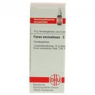 Dhu-fucus-vesiculosus-c30-globuli-10-g