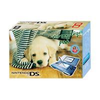 Nintendo-ds-blau-und-labrador