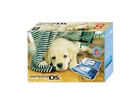 Nintendo-ds-blau-und-labrador