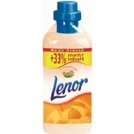 Lenor-orangentulpe