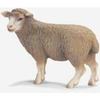 Schleich-farm-life-13283-schaf-stehend