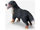 Schleich-farm-life-16339-berner-sennenhund-stehend