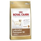 Royal-canin-labrador-retriever-30-adult