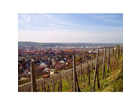 Stadt-metzingen