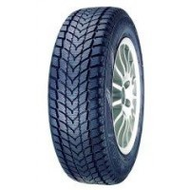 Kenda-kr19-polar-trax