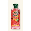 Herbal-essences-fruit-fusions-shiny-waves-shampoo