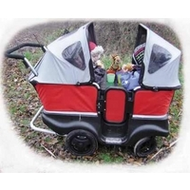 Winther-turtle-kinderbus