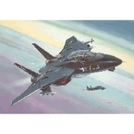 Revell-04029-f-14a-black-tomcat