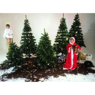 Tannenbaum-inkl-staender-360cm