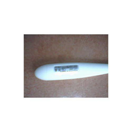 Das-thermometer-von-hinten-akkufach