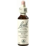 Nelsons-bachblueten-chestnut-bud-20-ml