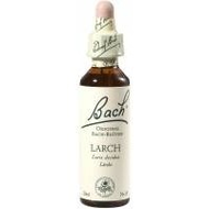 Nelsons-bachblueten-larch-20-ml