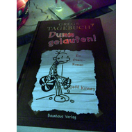 In-noch-weihnachtlicher-umgebung-das-buchcover