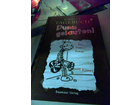 In-noch-weihnachtlicher-umgebung-das-buchcover