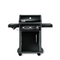 Weber-spirit-e-320-original