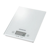 Kenwood-ds-401