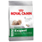 Royal-canin-mini-exigent