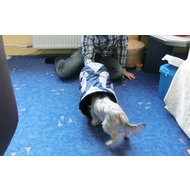 Schrittweise-fast-sie-mut