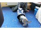 Schrittweise-fast-sie-mut