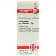 Dhu-eupatorium-perfoliatum-d6-globuli