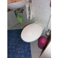 Eins-meiner-wand-wc-s
