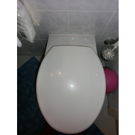 Mein-wand-wc