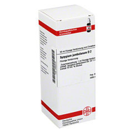 Dhu-syzygium-jambolanum-d2-globuli