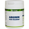 Quintessenz-arginin-plus-folsaeure-kapseln