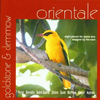 Orientale-stuecke-fuer-piano-duo