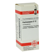 Dhu-haplopappus-d12-globuli