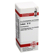 Dhu-ledum-d12-globuli