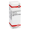 Dhu-conium-d6-dilution