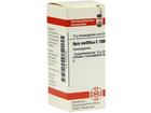 Dhu-apis-mellifica-c1000-globuli