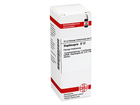 Dhu-staphisagria-d12-dilution