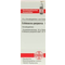 Dhu-echinacea-purpurea-d2-globuli