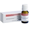 Dr-reckeweg-co-ledum-d12-globuli