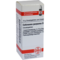 Dhu-echinacea-purpurea-d1-globuli