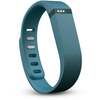 Fitbit-flex