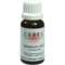 Ceres-taraxacum-comp-tropfen