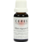 Ceres-ribes-nigrum-urtinktur