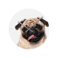Karlsson-crazy-dog