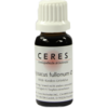 Ceres-dipsacus-fullonum-urtinktur