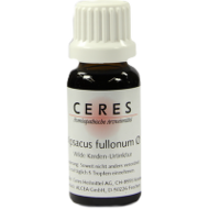 Ceres-dipsacus-fullonum-urtinktur