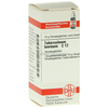 Dhu-tuberculinum-bovinum-c12-globuli