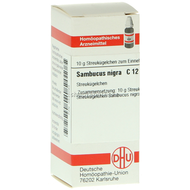 Dhu-sambucus-nigra-c12-globuli