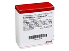 Heel-solidago-virgaurea-injeele-ampullen