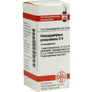 Dhu-harpagophytum-procumbens-d6-globuli