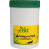 Cdvet-senior-cat