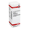 Dhu-calcium-fluoratum-d8-dilution